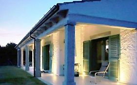 Villa Celeste / Private / Escape To Nature / Olive Groves / Sea Views